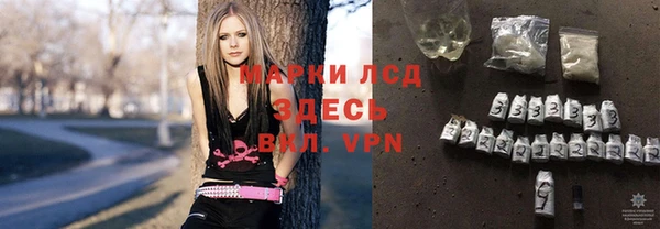 гашик Алексин