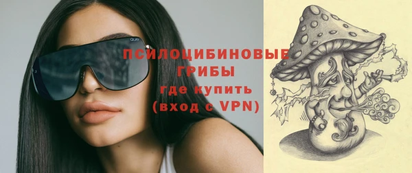 прущие крисы Алексеевка