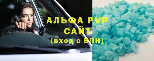 гашик Алексин