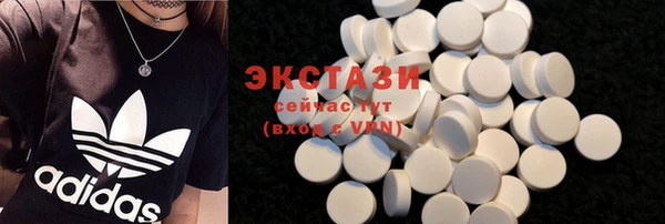 гашик Алексин