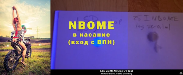 гашик Алексин
