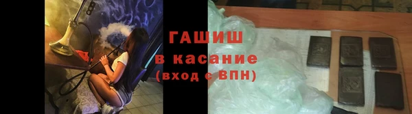гашик Алексин