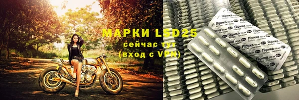 гашик Алексин