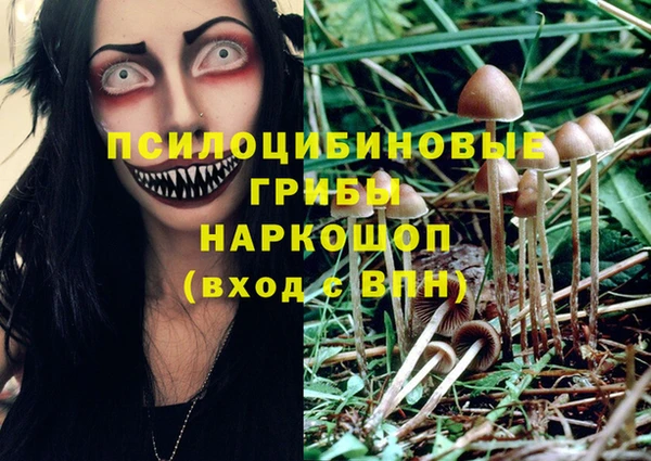 прущие крисы Алексеевка