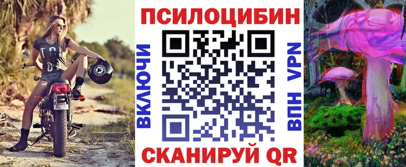 мега онион  Макушино  Галлюциногенные грибы Psilocybe 
